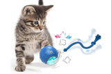 Chirping & Motion Activate Interactive Cat Toy Ball for Indoor