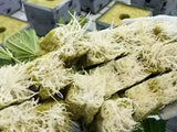 42Pcs Soilless Cultivation Substrate Seedling Grow Cubes