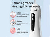 Portable Rechargeable Water Dental Flosser with 4 Tips