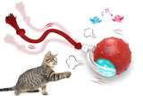 Chirping & Motion Activate Interactive Cat Toy Ball for Indoor