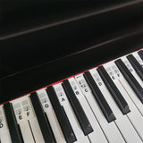 61/88 Keys Removable Silicone Piano Keyboard Note Labels Set Piano Practice Note Chart without Stickers