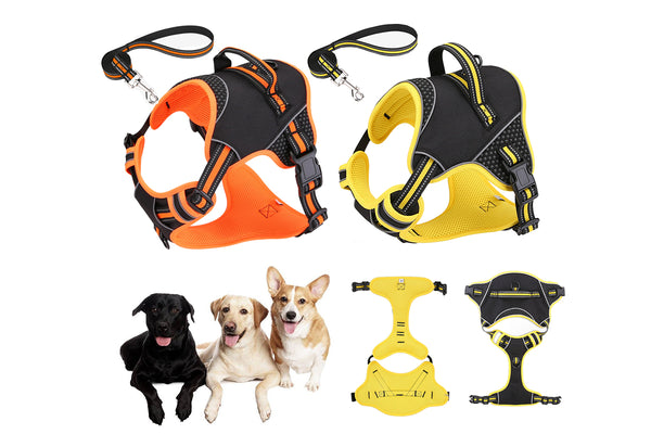 Reflective No Pull Dog Harness with Leash