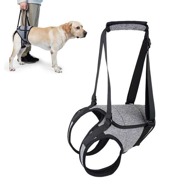 Adjustable Dog Back Legs Lift Harness