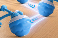 Interactive Dog Toy with Motion Activated Active