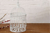 Iron Wire Birdcage Shape Succulent Pot Frame Hanging Planter Plant