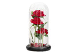 Three Rose in Glass Dome Eternal Flower with LED Light