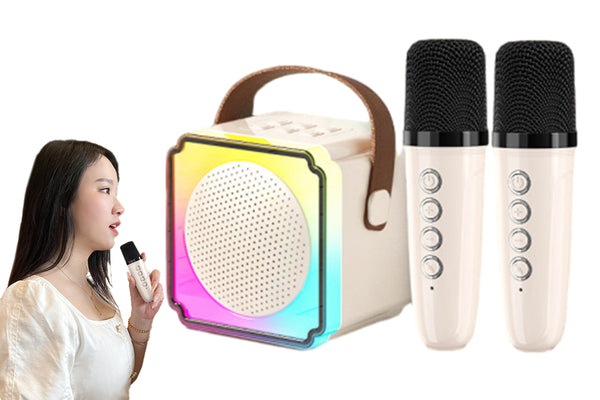 Mini Karaoke Machine Portable Bluetooth Speaker with 2 Wireless Microphones