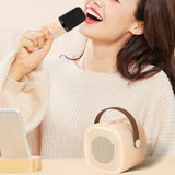 Portable Bluetooth Karaoke Machine with 2 Microphones for Home Party KTV