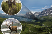 300x25 Folding Binoculars with Phone Holder