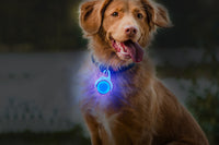 Dog Collar Light Rechargeable LED with 4 Modes for Night Walking