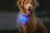 Dog Collar Light Rechargeable LED with 4 Modes for Night Walking