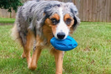 Puppy Chew Ball With Squeaker Dog Chew Toy