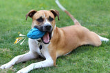 Puppy Chew Ball With Squeaker Dog Chew Toy