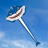 Large Kite with Tail