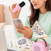 Portable Bluetooth Karaoke Machine with 2 Microphones for Home Party KTV