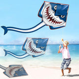 Large Kite with Tail