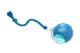 Chirping & Motion Activate Interactive Cat Toy Ball for Indoor