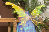 Electric Butterfly Wings with LED Lights and Music