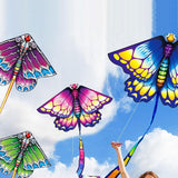 Large Kite with Tail