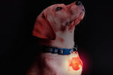 Dog Collar Light Rechargeable LED with 4 Modes for Night Walking