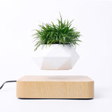 Magnetic Levitation Pot Bonsai Suspension Flower Planters with Wooden Base