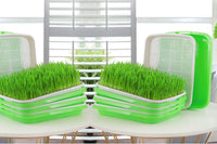5 Pack Seed Sprouter Trays for Microgreens Soil-Free Growing
