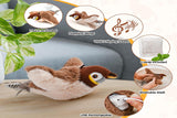 Flappy Chase  Cat Toy  Indoor Interactive Touch Activated Plush Bird  Kitten Toy