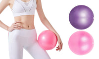 2Pcs 25cm Gym Fitness Balls