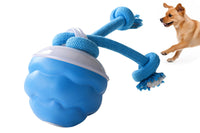 Interactive Dog Toy with Motion Activated Active