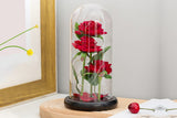 Three Rose in Glass Dome Eternal Flower with LED Light