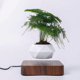 Magnetic Levitation Pot Bonsai Suspension Flower Planters with Wooden Base