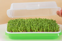 5 Pack Seed Sprouter Trays for Microgreens Soil-Free Growing