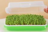 5 Pack Seed Sprouter Trays for Microgreens Soil-Free Growing