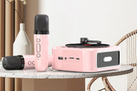 Portable Wireless Speaker with Two Microphones Stereo Scene