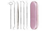 6Pcs Professional Dental Tool Kit  Stainless Steel Oral Care Set
