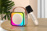 Mini Karaoke Machine Portable Bluetooth Speaker with 2 Wireless Microphones