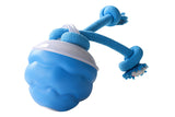Interactive Dog Toy with Motion Activated Active