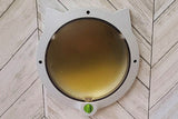 Cat Flap Door Cat Door with 4-Mode Locking System