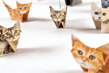 50pcs Paper Cats Origami Kit Stress Relief DIY Craft Kit for Cat Lovers