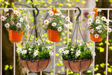 10Pcs Flower Pot Hook Hanging Basket with 3 Prong Hanger
