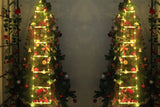 3 Meter Christmas Ladder Lights with Santa Claus