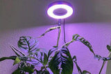 Grow Light for Indoor Plants with 20 LED Full Spectrum