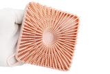 Dual Sided 2-in-1 Silicone Body Shower Scrubber Body Brush