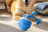 Interactive Dog Toy with Motion Activated Active