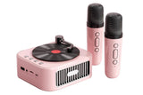 Portable Wireless Speaker with Two Microphones Stereo Scene