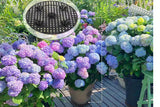 5Pcs Plant Level Pot Elevator Plant Pot Saucer for Garden Patio Potted Plant