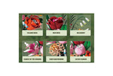 Flowers Bouquet Building Blocks Set with Vase