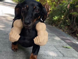Cat Muscle Arms Costume Funny Photo Prop for Cats