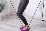 Magnetic Waist Twisting Disc Resistance Twist Board