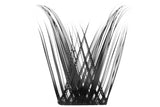 Lash Clusters with Eyelash Curler Wispy Cluster Eyelash